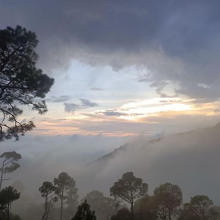 The Western Heights I Serviced Apartments I Pvt Balcony I Lift I Peacefull Area I Family Accomodation I Kasauli I By Exotic Stays Buitenkant foto