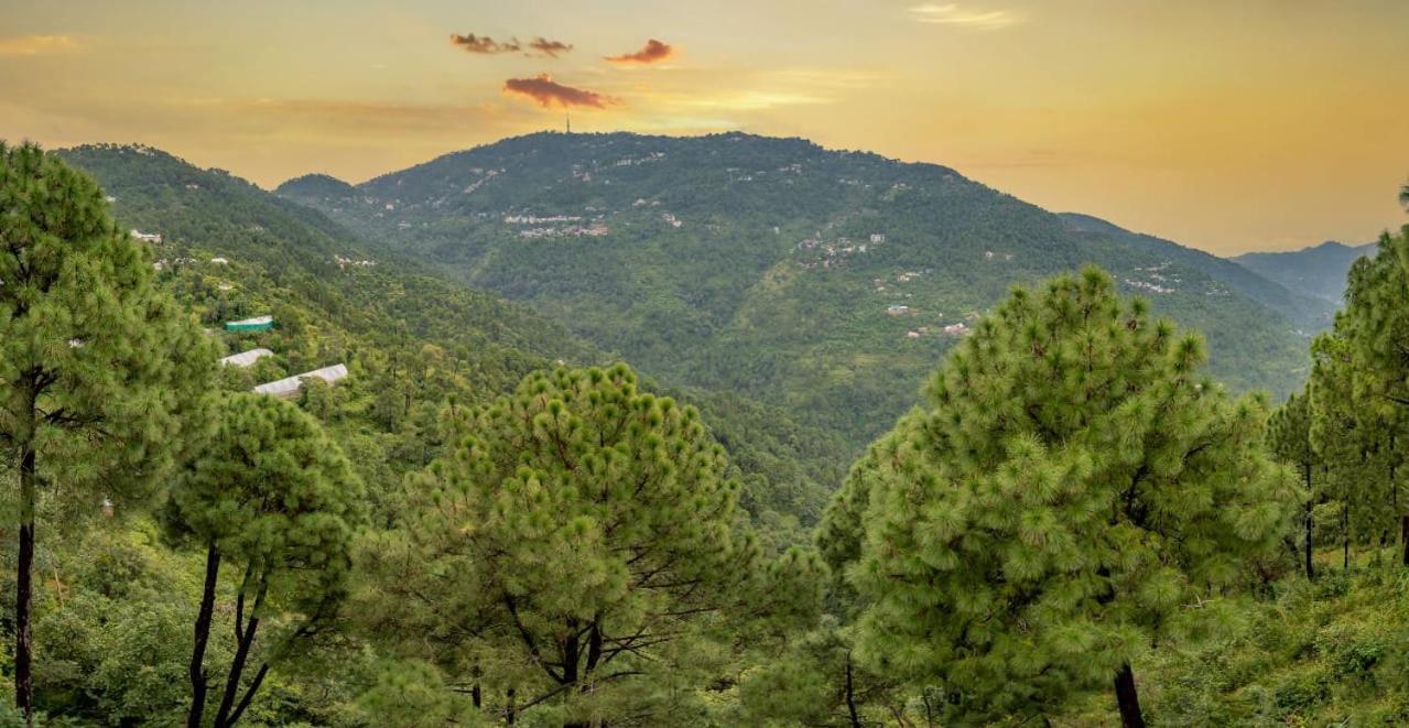 The Western Heights I Serviced Apartments I Pvt Balcony I Lift I Peacefull Area I Family Accomodation I Kasauli I By Exotic Stays Buitenkant foto