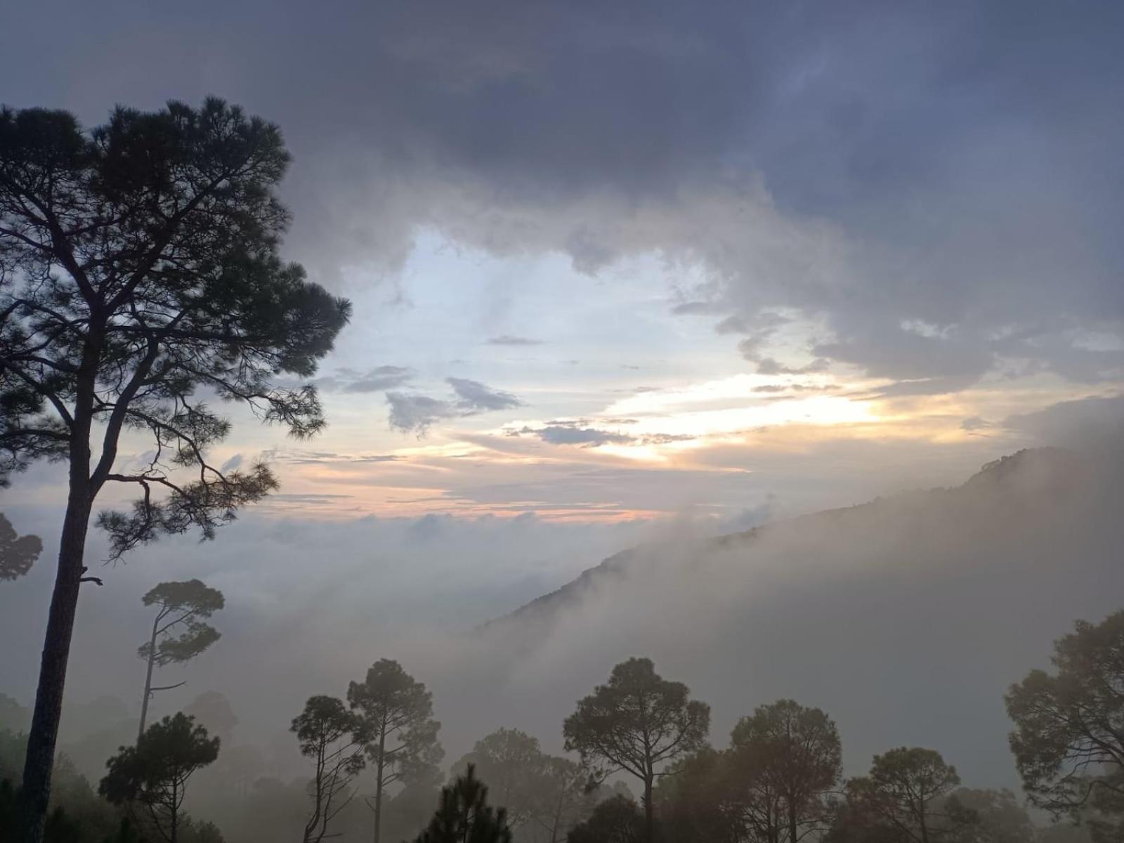 The Western Heights I Serviced Apartments I Pvt Balcony I Lift I Peacefull Area I Family Accomodation I Kasauli I By Exotic Stays Buitenkant foto